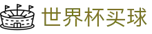2026国际足联世界杯买球 · 官方中文主页